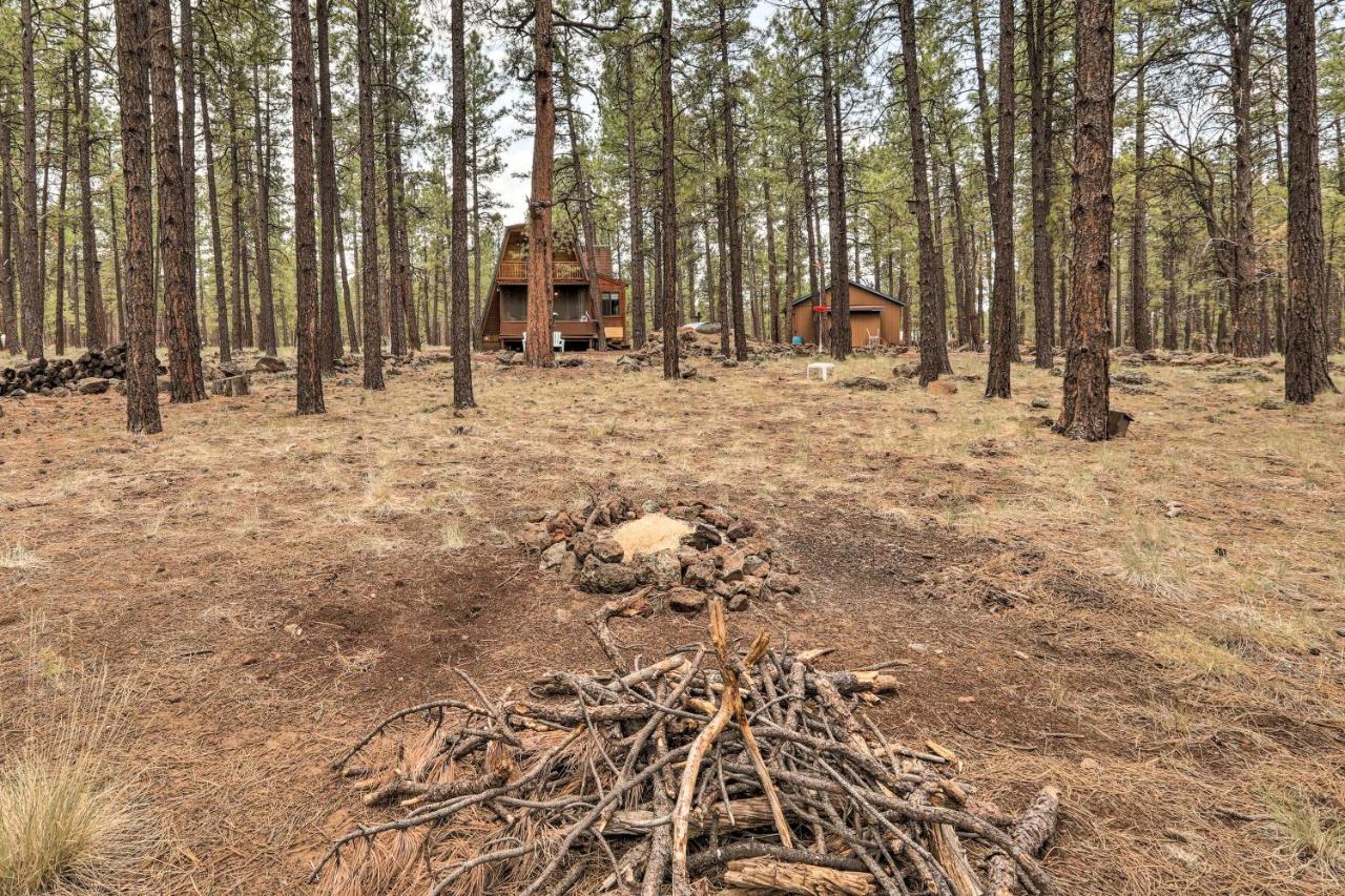 Cozy Cabin By Grand Canyon, Near National Forest Williams Esterno foto